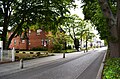 Kühlungsborn, Blick durch die Ostseeallee