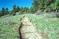 Der Pine Ridge Trail auf dem Kamiak Butte