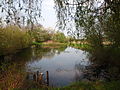 Teich am Ortsrand von Klein Döhren