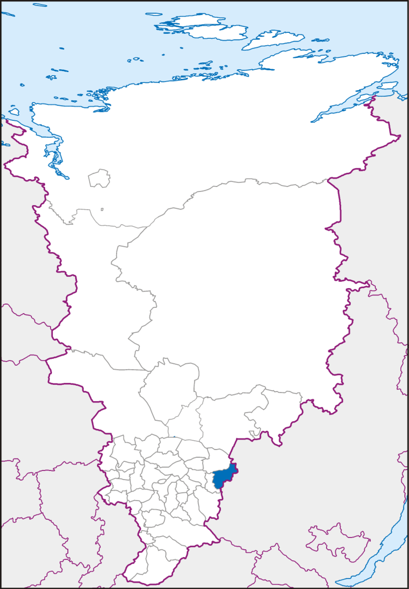 Nizhneingashsky District