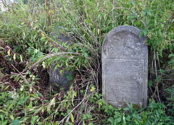 English: Jewish cemetery in Krzeszów, subcarpathian voivodeship Polski: Cmentarz żydowski (Kirkut) w Krzeszowie, w powiecie niżańskim