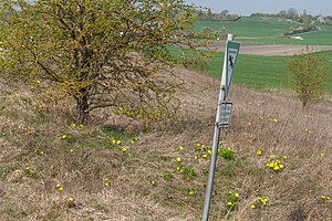 Bad Windsheim: Geografie, Geschichte, Politik