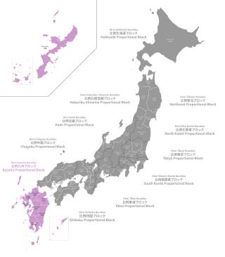 <span class="mw-page-title-main">Kyushu proportional representation block</span>
