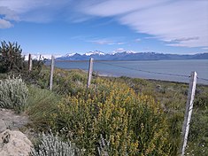 Le lac Argentino vu depuis la route qui traverse le parc national Los Glaciares.