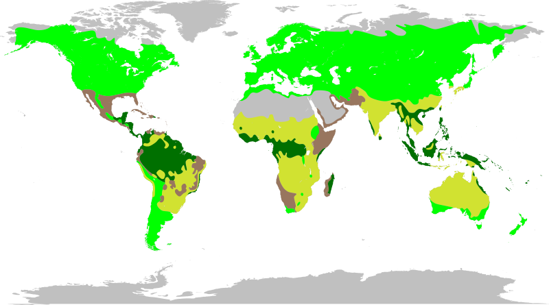 File:Legume Biogeography.svg