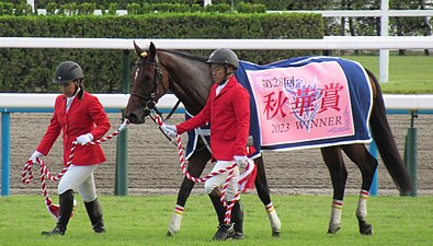 2023年冠軍「自由島」