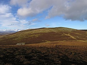 Llechwedd-Llyfn Carnedd Llechwedd-Llyfn: Bryn (643m) yng Ngwynedd