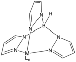 Idealized structure of a Tp ligand bound to a metal center MLn. Tp is a spectator ligand in this complex. LnMTp.png