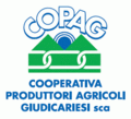 LogoCOPAG.gif