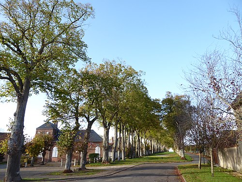 Rideau métallique Le Boullay-Thierry (28210)