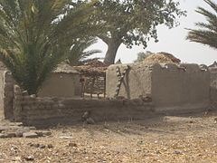 Maisons à toits plats (Tchad).