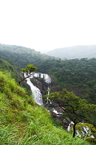 <span class="mw-page-title-main">Mallalli Falls</span> Waterfall on the Kumaradhara River in Karnataka, India