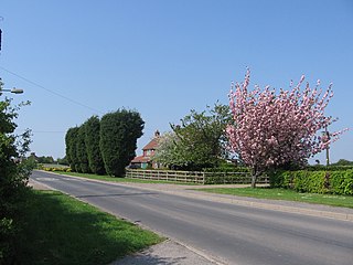 <span class="mw-page-title-main">Newland, Eastrington</span> Hamlet in the East Riding of Yorkshire, England