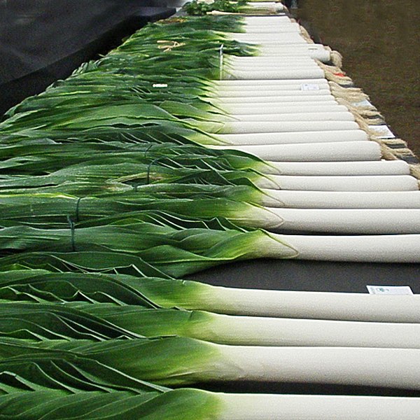 File:Many Leeks (8040980893).jpg