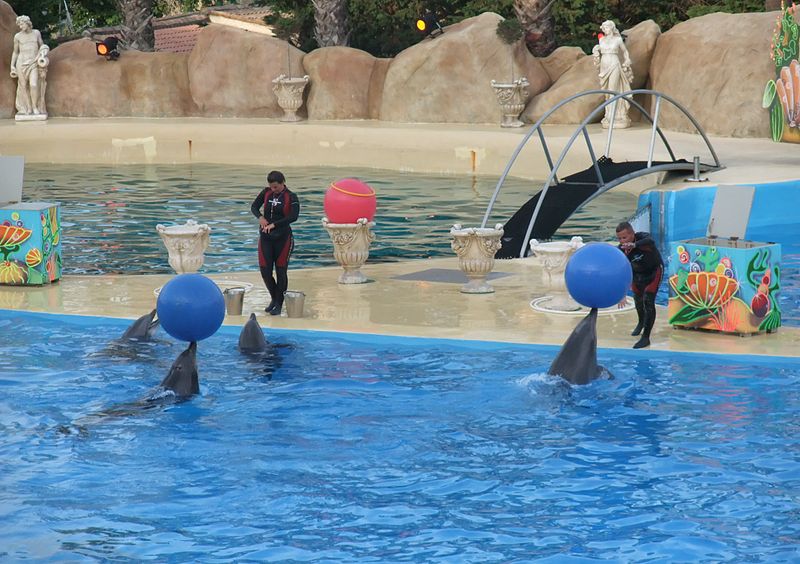 File:Marineland Antibes - 005.jpg