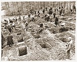 German locals exhume the bodies of forced labourers killed by the Nazis.