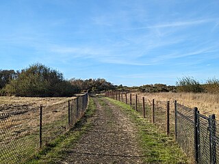 <span class="mw-page-title-main">McLaughlin Eastshore State Park</span> State park and wildlife refuge