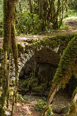 Medieval bridge in Jura, France