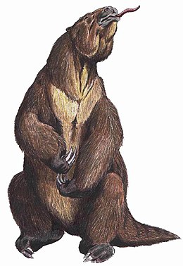 Rajz az óriáslajhárról (Megatherium americanum)