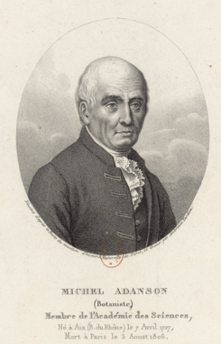 Michel Adanson (1727-1806).png