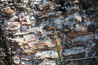 <span class="mw-page-title-main">Mittagong Formation</span>