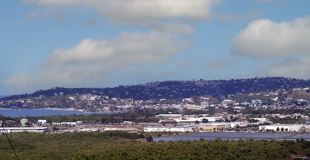 Montego Bay Marine Park History, Everything You Need To Know