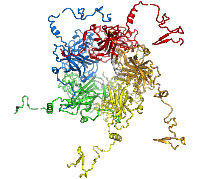 File:Mpyv vp1 pentamer vp2 1sie 1cn3.png