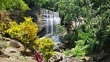 Mt. Carmel waterfall located in the St. Andrew Parish of Grenada Mt Carmel.jpg