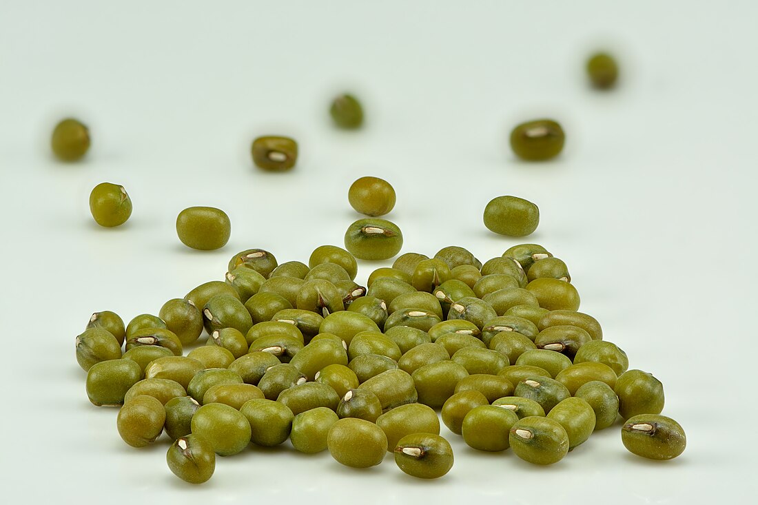 Mung bean