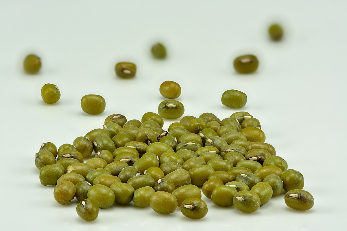 Mung Bean Wikipedia