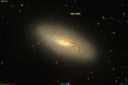 NGC 5005