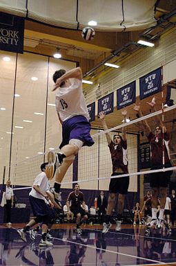 Men's volleyball match in the Coles Center NYU volleyball.jpg