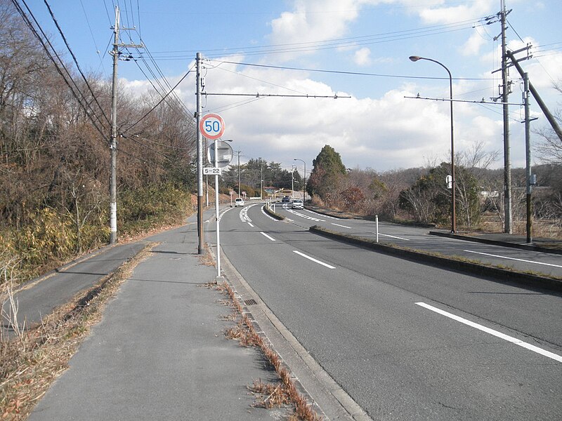 File:Narasakatown Naracity Narapref Narayama Avenue.JPG