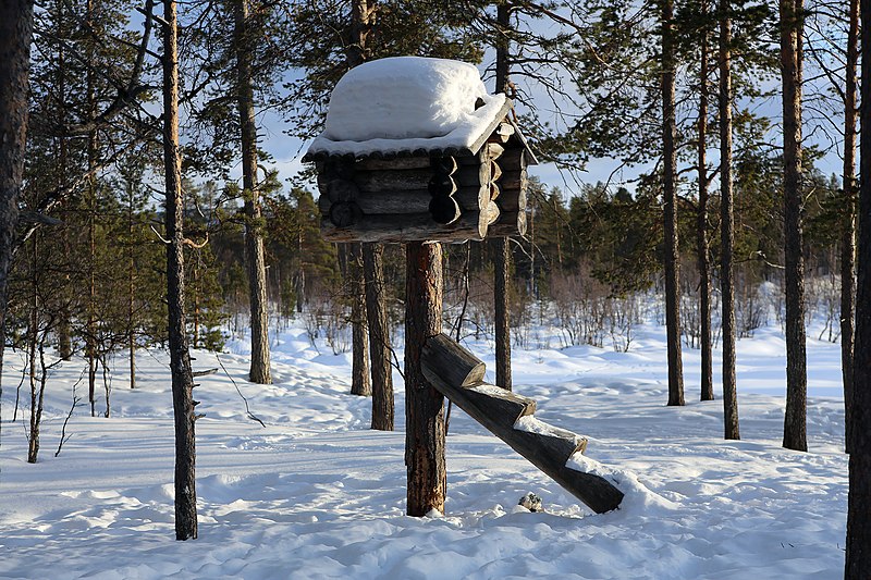 File:Nili - Njalla, Inari, Suomi - Finland 2013-03-10 b.jpg