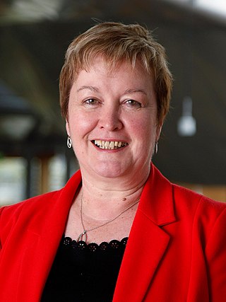 <span class="mw-page-title-main">Rhoda Grant</span> Scottish Labour Co-op politician