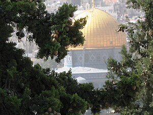 Old city and AlAqsa Mosque in Jerusalem Palestine (66).jpg