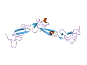 2box: EGF domeni 1,2,5 ljudskog EMR2, 7-TM molekula imunskog sistema, u kompleksu sa stroncijumom.