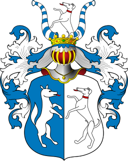 POL COA Dubenitz