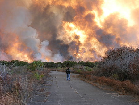 Palm Bay Fire