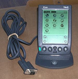 Palm III 24.jpg