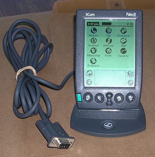 Palm III 24