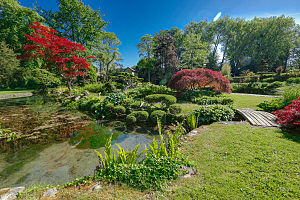 Parc-chateau-courances-essonne, toujours le jardin japonais, très joli.jpg