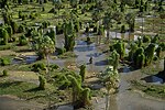 Miniatura per Parc Nacional Río Pilcomayo