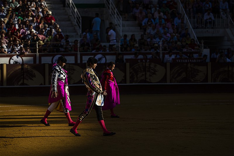 File:Paseillo en la plaza de toros de Málaga.jpg