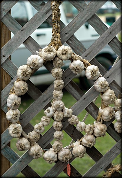 File:Peace Sign made of Garlic.jpg