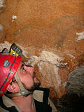 Vignette pour Grotte du Pech d’Arsou