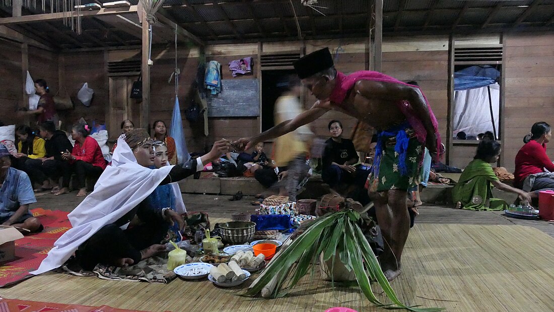 Suku Dayak Meratus