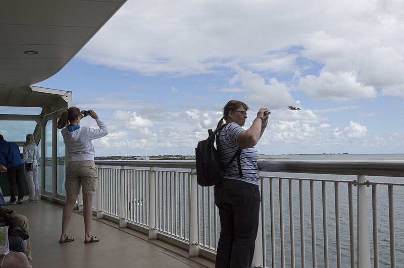 File:Photos of people taking photographs (14454627158).jpg