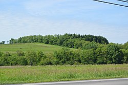 Pennsylvania Route 68 boyunca Sligo'nun doğusunda sahne