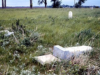 <span class="mw-page-title-main">Cemetery prairie</span> Remnant of original grassland ecosystem